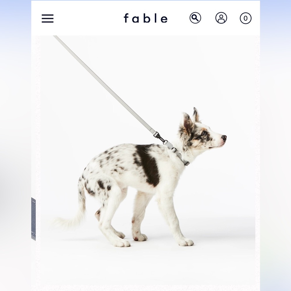 Fable pets leather leash grey NEW